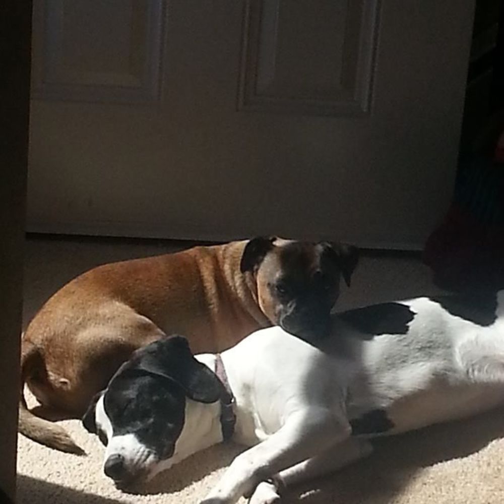 Meet your Posher, Marisa